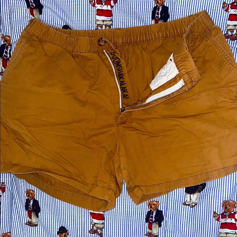 Chubbies 5.5in shorts